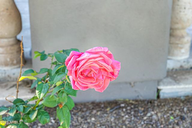 27643 N 113TH Place, Scottsdale, AZ 85262