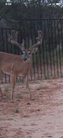 251 FM 1646, Aspermont, TX 79502