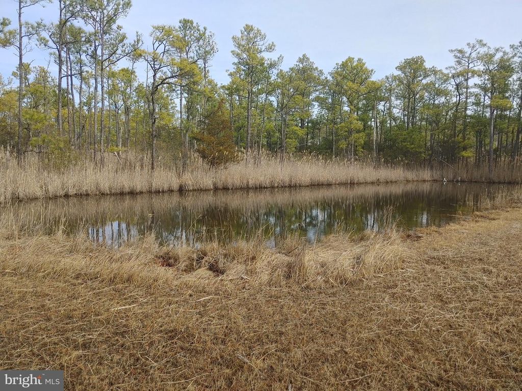 Image 18 of property listing at 2420 TODDVILLE RD, Wingate, MD 21675