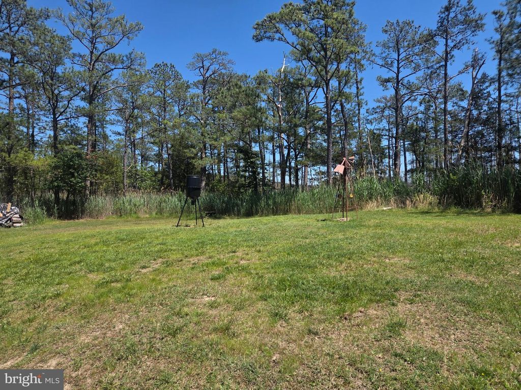 Image 3 of property listing at 2420 TODDVILLE RD, Wingate, MD 21675