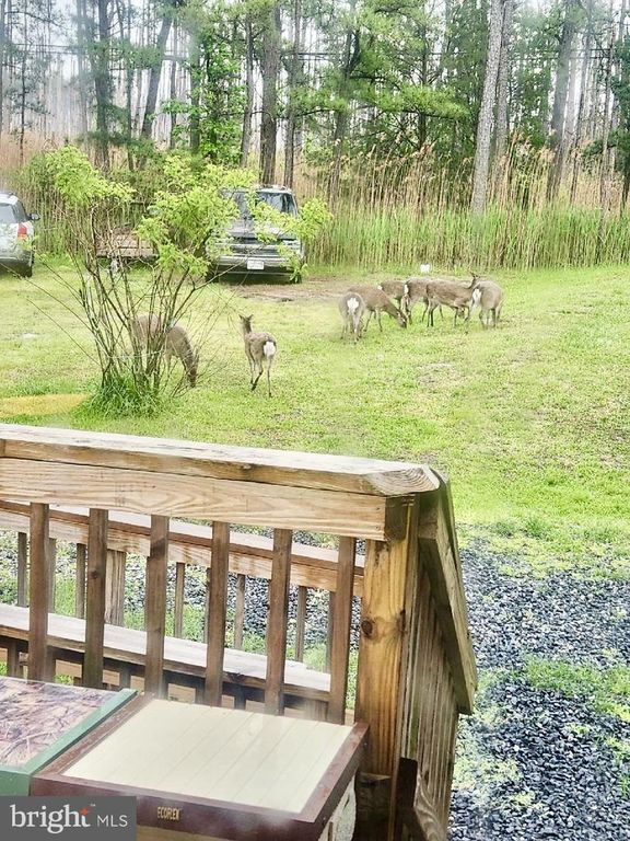Image 8 of property listing at 2420 TODDVILLE RD, Wingate, MD 21675