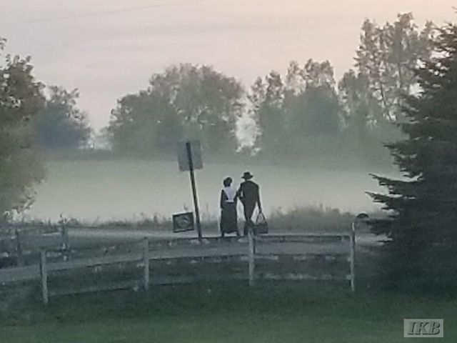 6395 E Beaverton Road, Clare, MI 48617