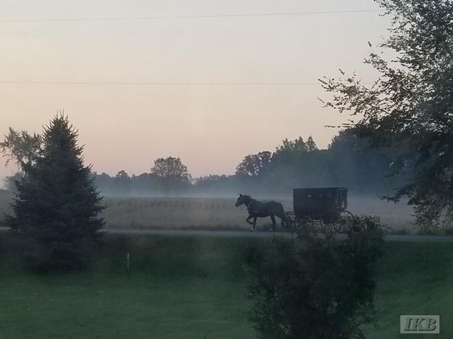 6395 E Beaverton Road, Clare, MI 48617