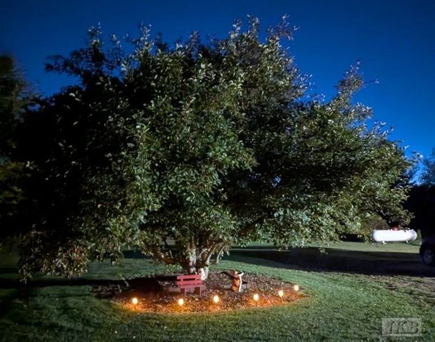 6395 E Beaverton Road, Clare, MI 48617