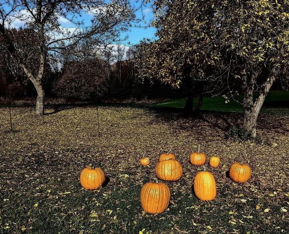 6395 E Beaverton Road, Clare, MI 48617