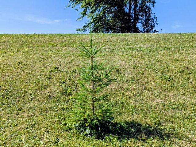 6395 E Beaverton Road, Clare, MI 48617