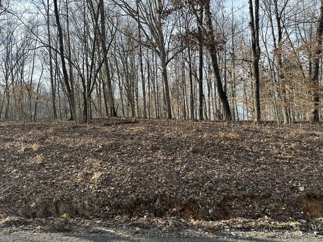 0 Old Stage Rd, Dickson, TN 37055