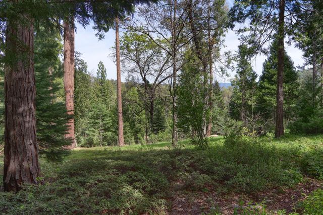 7174 Hites Cove, Mariposa, CA 95338
