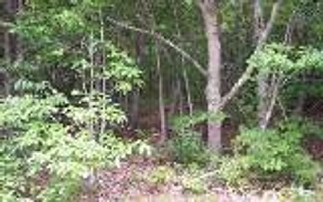 00 Lady Lane, Murphy, NC 28906