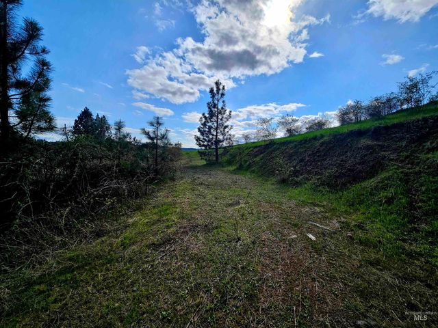 TBD Dent Bridge Rd, Orofino, ID 83544