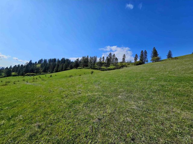 TBD Dent Bridge Rd, Orofino, ID 83544