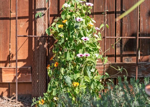 1322 Loma De Paz, Escondido, CA 92027