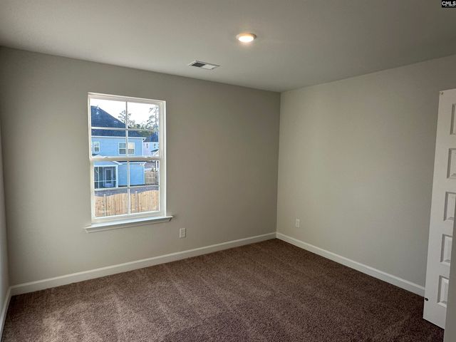 419 Rising Stream Way, Chapin, SC 29036