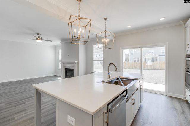 419 Rising Stream Way, Chapin, SC 29036