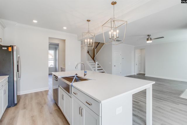 419 Rising Stream Way, Chapin, SC 29036