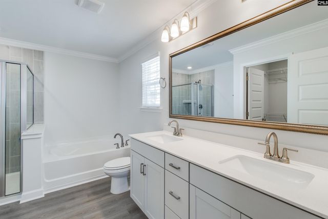 419 Rising Stream Way, Chapin, SC 29036