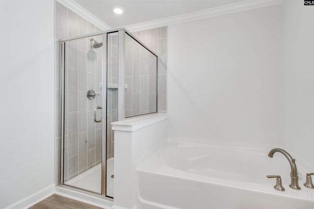 419 Rising Stream Way, Chapin, SC 29036