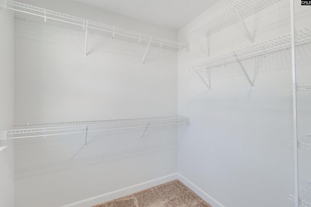419 Rising Stream Way, Chapin, SC 29036