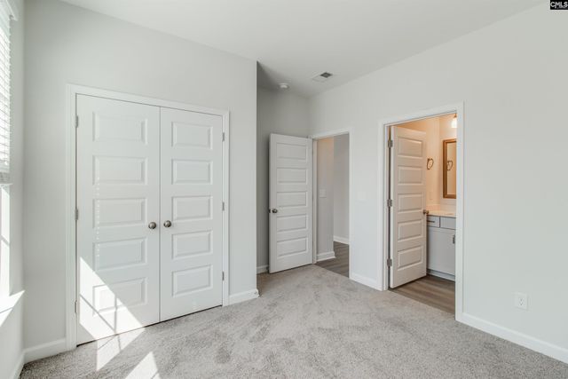 419 Rising Stream Way, Chapin, SC 29036