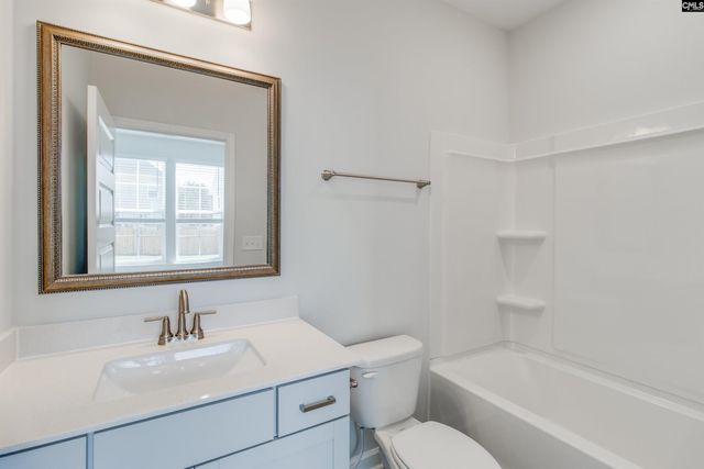 419 Rising Stream Way, Chapin, SC 29036