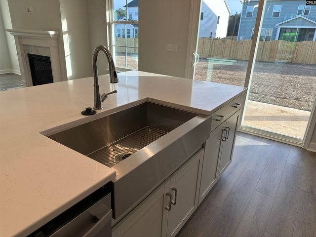 419 Rising Stream Way, Chapin, SC 29036