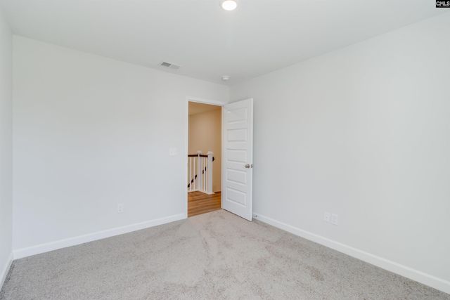 419 Rising Stream Way, Chapin, SC 29036