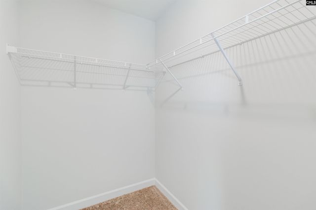 419 Rising Stream Way, Chapin, SC 29036