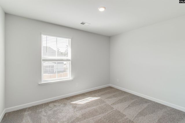 419 Rising Stream Way, Chapin, SC 29036