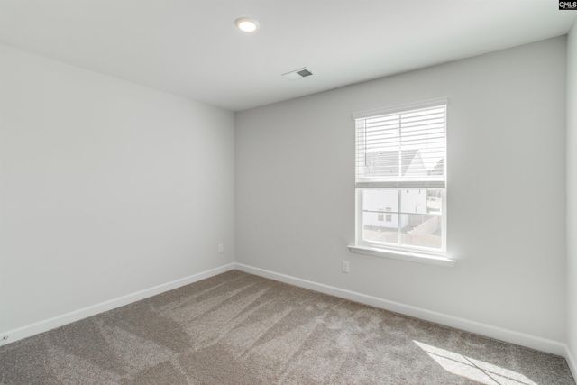 419 Rising Stream Way, Chapin, SC 29036