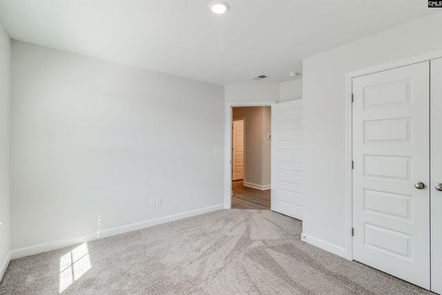 419 Rising Stream Way, Chapin, SC 29036