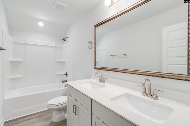 419 Rising Stream Way, Chapin, SC 29036