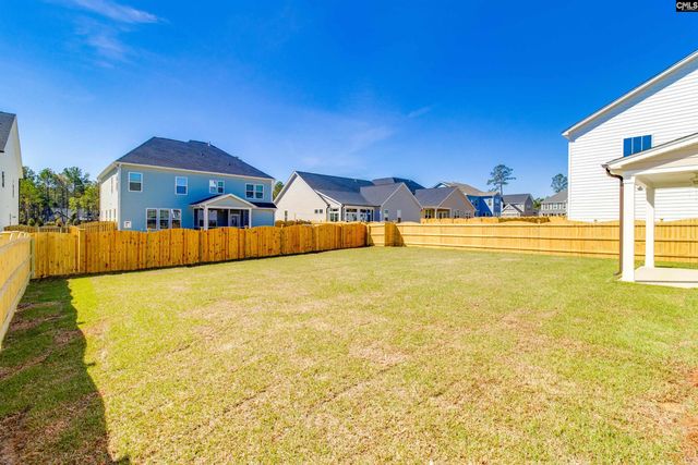 419 Rising Stream Way, Chapin, SC 29036