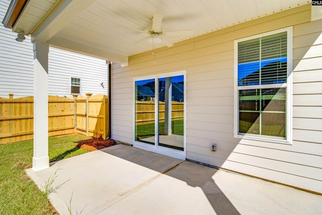 419 Rising Stream Way, Chapin, SC 29036
