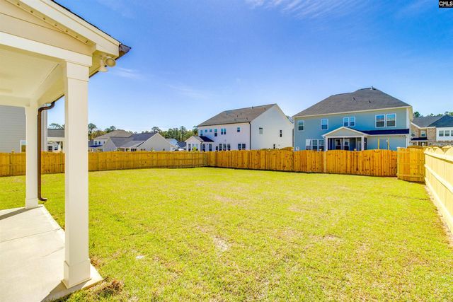 419 Rising Stream Way, Chapin, SC 29036