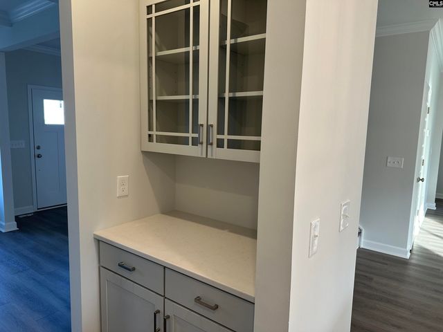 419 Rising Stream Way, Chapin, SC 29036