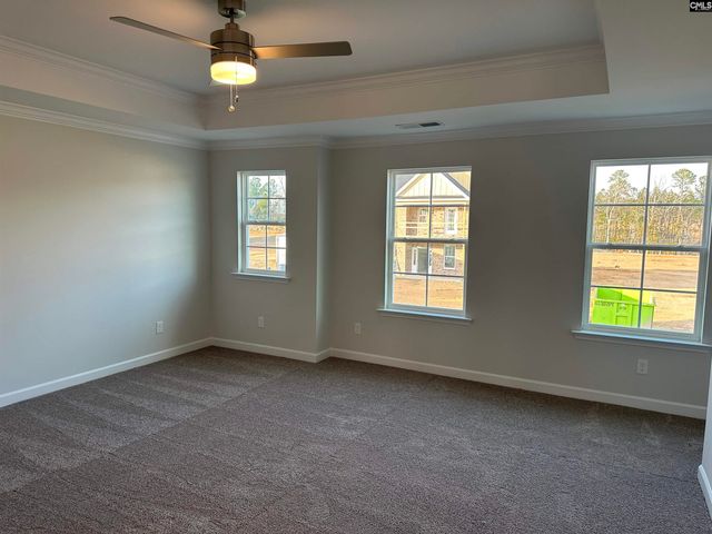 419 Rising Stream Way, Chapin, SC 29036