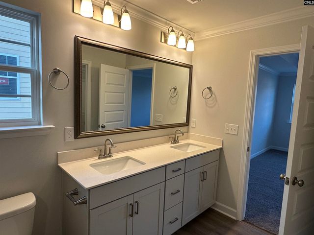 419 Rising Stream Way, Chapin, SC 29036