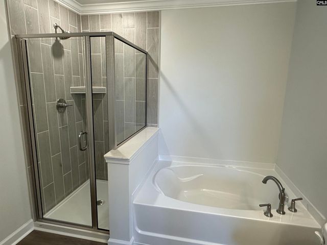 419 Rising Stream Way, Chapin, SC 29036