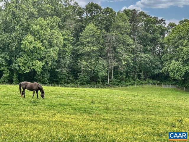 3111 S SEMINOLE TRL, Madison, VA 22727