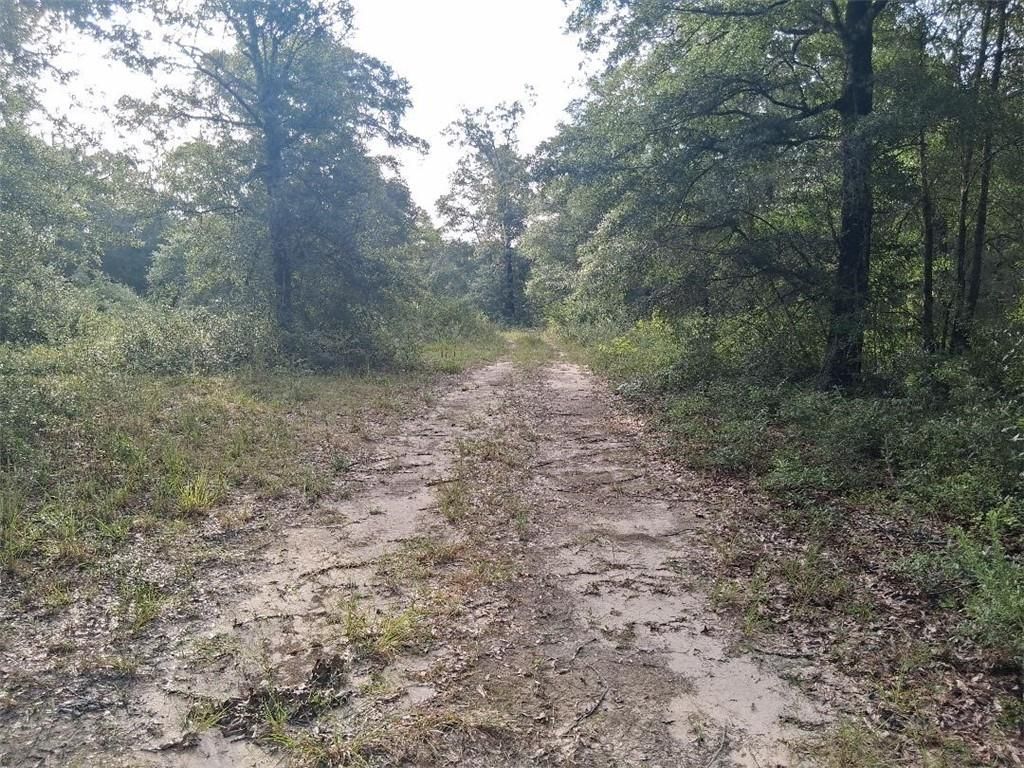 0 Beaver Lake Court, Wilmer, AL 36587 — exterior