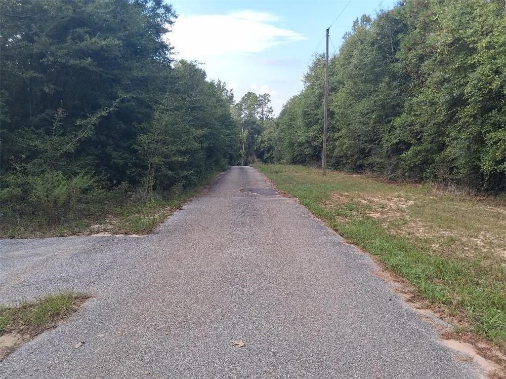 0 Beaver Lake Court, Wilmer, AL 36587 — photo 3