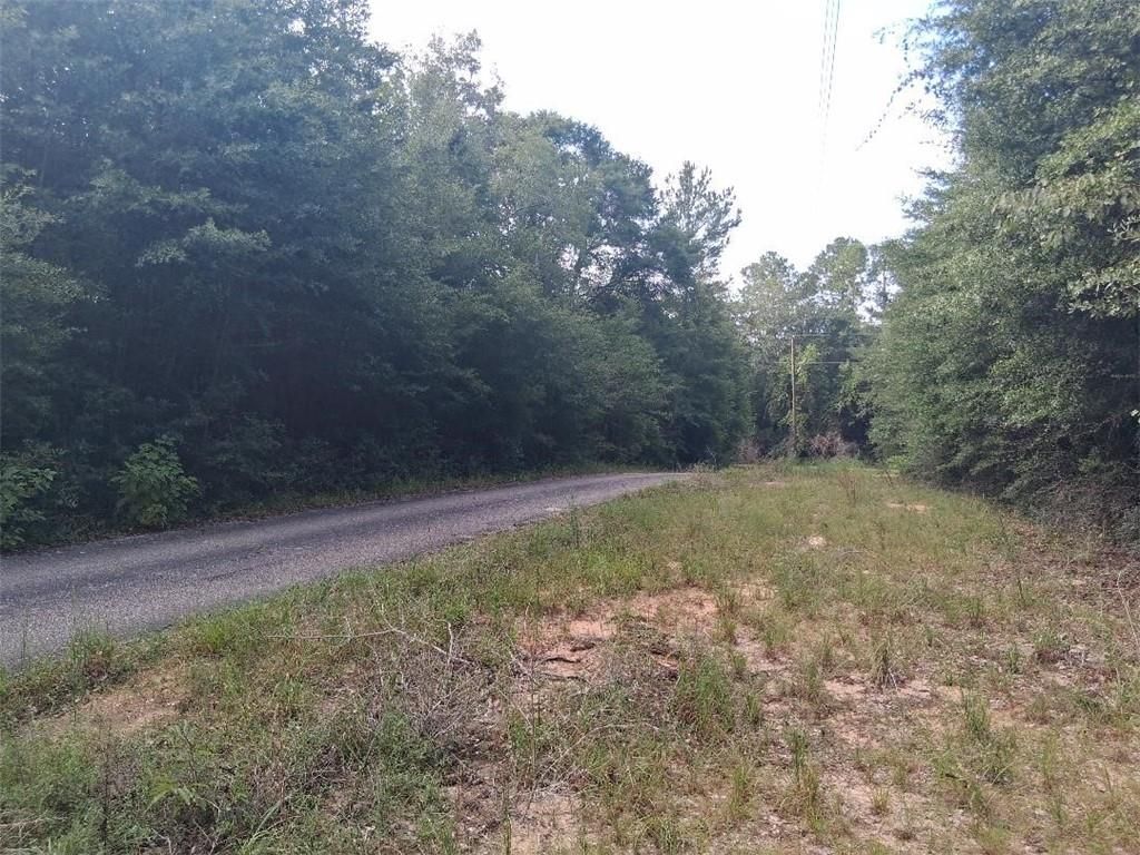 0 Beaver Lake Court, Wilmer, AL 36587 — photo 4