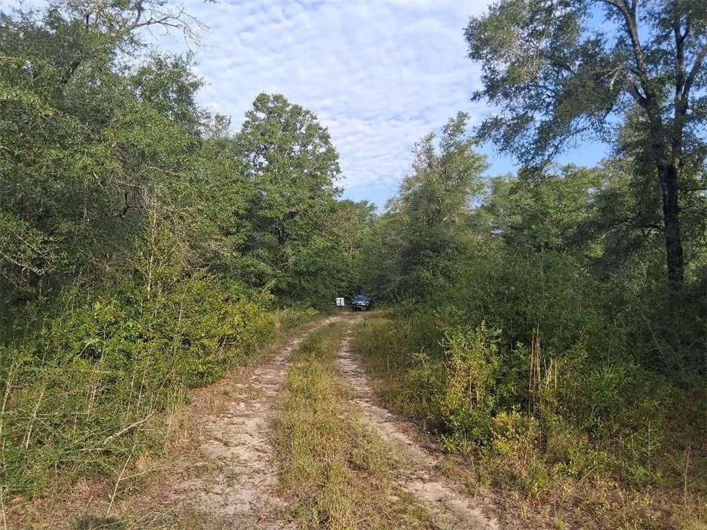 0 Beaver Lake Court, Wilmer, AL 36587 — photo 5