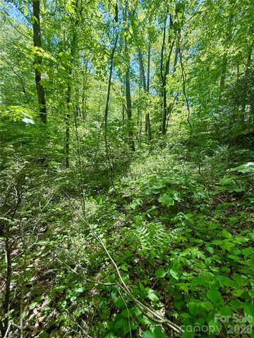 TBD Highway 107 None N Lot 1, Glenville, NC 28736
