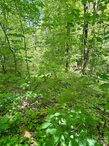 TBD Highway 107 None N Lot 1, Glenville, NC 28736