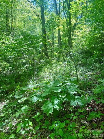 TBD Highway 107 None N Lot 1, Glenville, NC 28736