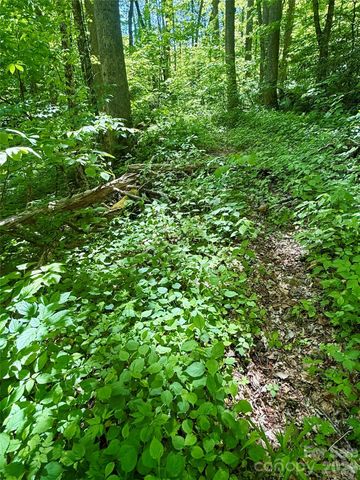 TBD Highway 107 None N Lot 1, Glenville, NC 28736