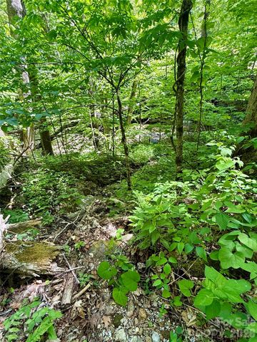 TBD Highway 107 None N Lot 1, Glenville, NC 28736
