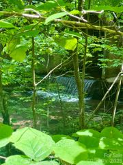 TBD Highway 107 None N Lot 1, Glenville, NC 28736
