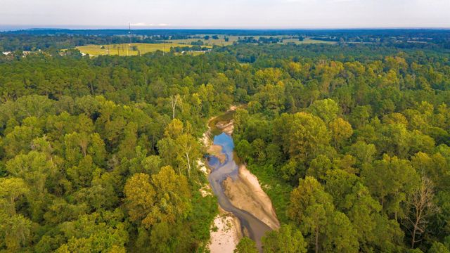 TBD Garner Road, Goodrich, TX 77335